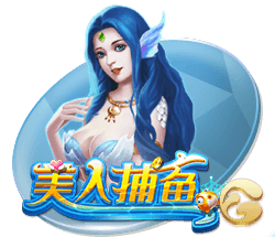 记者：没有迹象表明切尔西将争夺伊萨克，他们满意现有的锋线配置